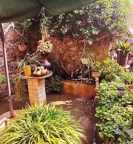 La Corte Di *